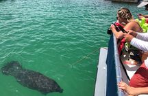 4 Hour Egmont Key Island Tour With Dolphins & Snorkeling Included