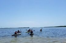 Guided Kayak EcoTour of Beautiful Shell Key Preserve