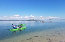 Guided Kayak EcoTour of Beautiful Shell Key Preserve