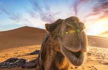 Merzouga Desert 3 Days 2 Nights Tour From Marrakech 