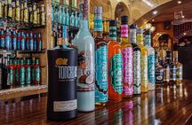 Private Tour at Puerto Morelos & Cenote from Cancun with Tequila