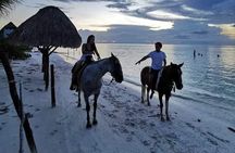 Horseback Riding on the Beaches of Holbox