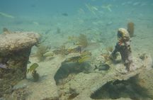 Discover Snorkeling Tour in Panama City