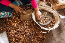 a day in the High Atlas and discovery of Berber culture