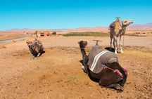 a day in the High Atlas and discovery of Berber culture