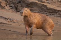 Tambopta National Reserve 5 days tour