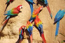 Tambopta National Reserve 5 days tour