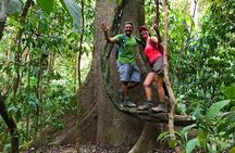 Guided hiking Tour by the Mystic Ebano Rainforest in Costa Rica