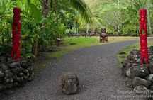 5 Hours Tahiti Island Tour - West and East Coast