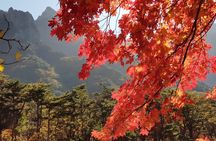 2 days Private Tour : Mt Seorak & Naksansa Temple & Nami Island 'from Seoul' 