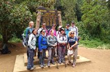 7 Day Kilimanjaro Climb Lemosho Route & 2 Day Safari