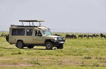 5 Days Tanzania Safari with Serengeti