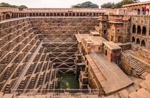 Keoladeo Birds Park Tour From Agra To Jaipur Including Entry 