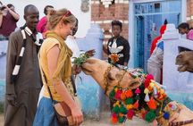 Nubian Village Day Tour in Aswan