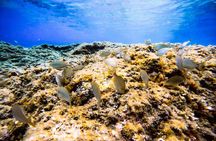 Snorkeling Excursion 2h00 Antheor & Ile des Vieilles in St-Raphaël