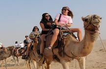 BBQ Sunset Camel Riding By the Flamingo River