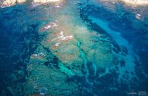 7h Excursion Esterel Day & Lerin Islands