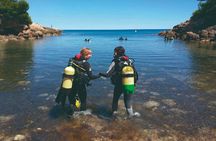 Diving In The Sea With Instructor In Tarragona Spain