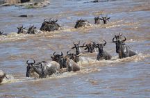 4 Days Serengeti Heritage Safari 