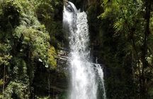 Full-Day Private Tour to La Chorrera Waterfall and El Chiflón