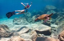 Turtle Gardens West Maui Snorkel Tour