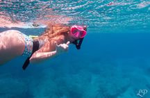 Turtle Gardens West Maui Snorkel Tour