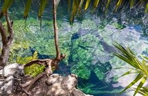 Tour 4 Cenotes Casa Tortuga Tulum. Food + Zipline. Includes Pickup.