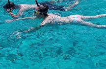 Snorkeling, Swim with Turtles & Beach Day
