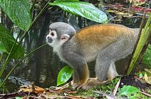 4 Days Cotopaxi, Quilotoa, Baños and Amazon with hotel and activities included