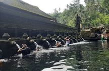 Ubud Tour - Highlights of Ubud