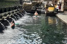 Ubud Tour - Highlights of Ubud