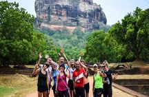  From Colombo/Negombo to Sigiriya, Dambulla Day Trip & Safari