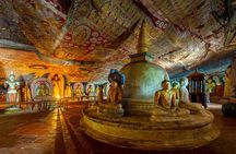  From Colombo/Negombo to Sigiriya, Dambulla Day Trip & Safari