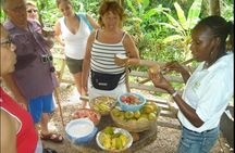 Saint Lucia: Cultural Immersion Experience 