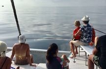 Mediterranean Boat Tour with paella lunch and transport included!
