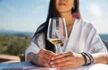 Superior Wine Tasting in San Gimignano