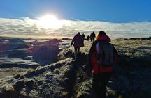5.5-Hour National park w/ hiking Shore excursion - USHUAIA (Private Tour)