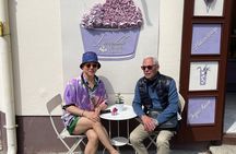 Szentendre Daytrip (Artists' Village) small group