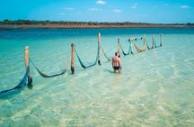 Jericoacoara Tour in 1 Day