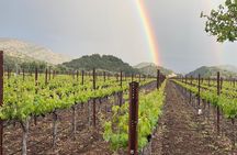Wine Tour Pros - Sprinter Van Wine Tour: Up To 14 Guests