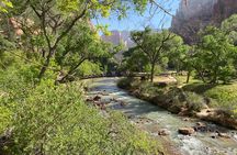 Zion National Park: Private Guided Hike & Picnic