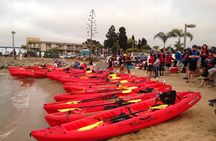 San Diego Bay 1.5-Hour Guided Kayak Tour in Coronado
