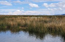 Tour to Uros and Taquile Islands in a Fast Boat