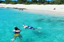 All inclusive Private Tour to Icacos and Palomino Island