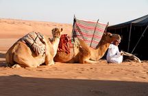 Private Tour -Whaiba sand &wadi Bani khaled 