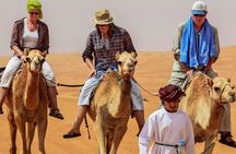 Private Tour -Whaiba sand &wadi Bani khaled 