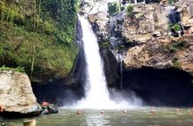 Ubud Private Tour : Best Of Ubud - Guided Tour