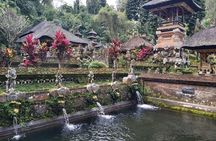 Ubud Private Tour : Best Of Ubud - Guided Tour