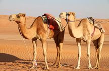 2 Day Private Desert Camp with Camel Ride