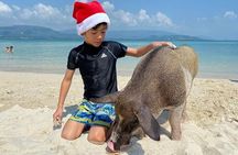 Pig Island ,Snorkeling, Private Long Tail Boat (Local Thai Experience)